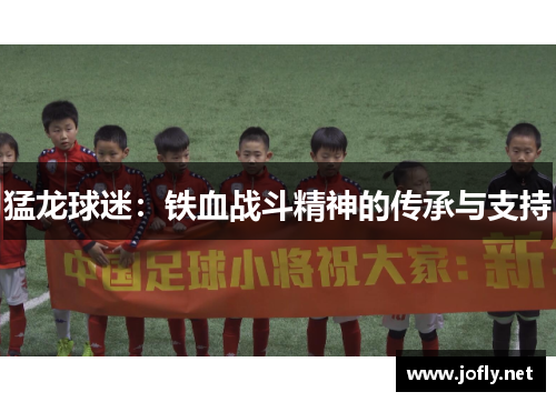 猛龙球迷：铁血战斗精神的传承与支持