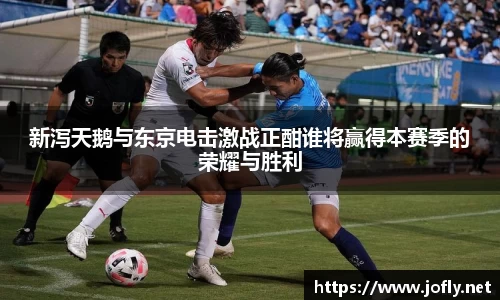 新泻天鹅与东京电击激战正酣谁将赢得本赛季的荣耀与胜利