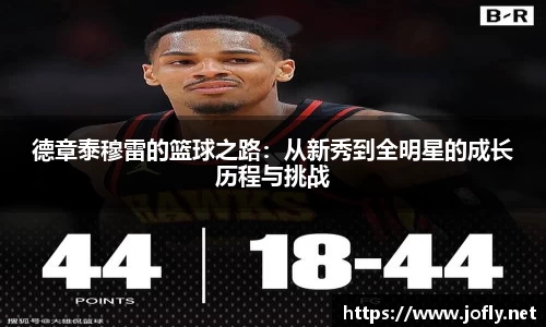 德章泰穆雷的篮球之路：从新秀到全明星的成长历程与挑战